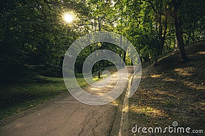 Morning park outdoor landscape scenic view peaceful nature environment spring time green foliage and sun rise lighting asphalt Stock Photo