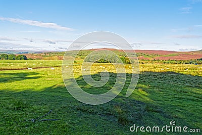 Early summer morning across the Derbyshire Peak District Stock Photo