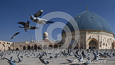 The morning pigeons of Al-Aqsa, seen flying at the courtyard of the Dome of Rock, in the old city of Jerusalem, Palestine Israel. Stock Photo