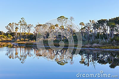 Morning Reflection at Big Talbot Island, Florida Stock Photo