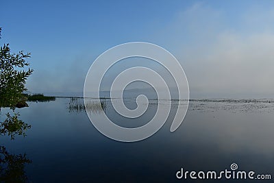 Morning river in fog, tree branches hanging low over the water, reeds Stock Photo