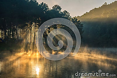 Morning, Scenic viewpoint Pang Oung District Animal Area Stock Photo