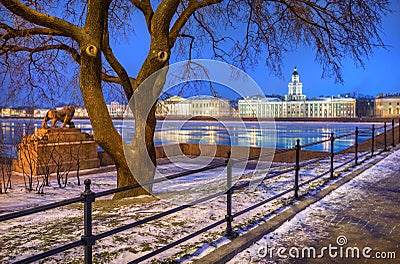 Morning in St. Petersburg with a view of the Kunstkamera t Stock Photo