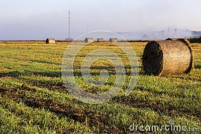 Morning summer mist over the field. Stock Photo