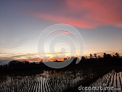 The morning sun advocates answers Indonesia Stock Photo