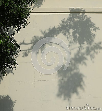 the morning sun with artistic shadows. Stock Photo