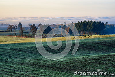 Morning Sunlight on Agricultural Grounds Stock Photo