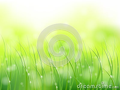 Morning sunlight grass early dew softfocus pattern Vector Illustration