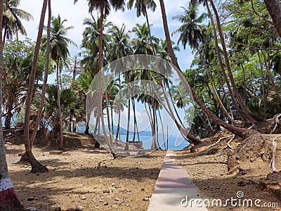 Morning view of Ross Islands of Andaman,India Stock Photo