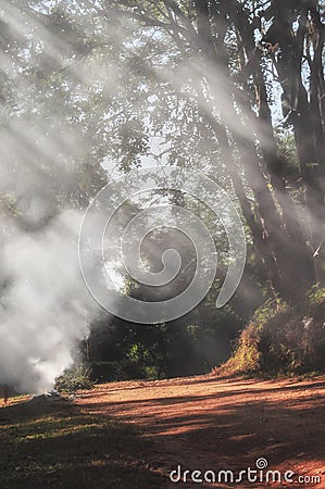 Morning view with sunbeam and smoke Stock Photo