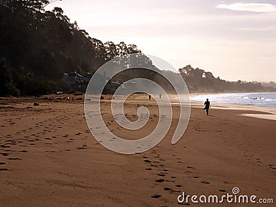 Morning walk on the beach Stock Photo