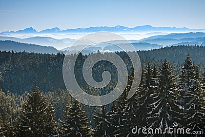 Morning winter calm mountain landscape Stock Photo