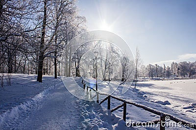 Morning winter frosty landscape in the park. Winter landscape. Severe frost, snowy trees, sunny weather. Beautiful winter seasonal Stock Photo