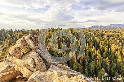 Moro Rocks Vista, USA Stock Photo