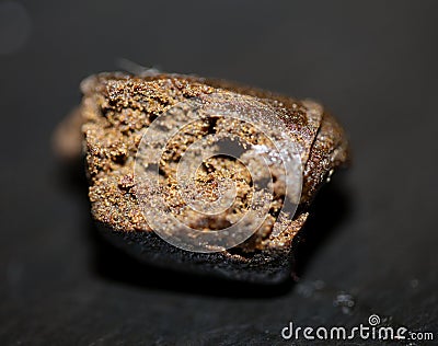 Moroccan fresh cannabis pollen close up filtered hash extraction amazing super dry Nepal hashish high quality smoking big size Stock Photo