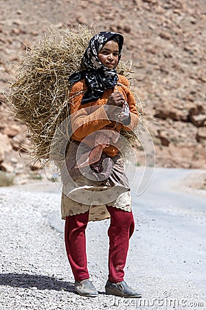A Moroccan girl carrying a load of hay in the Todra Gorge at Tinerhir in Morocco. Editorial Stock Photo