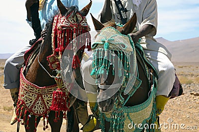 Moroccan riders Stock Photo