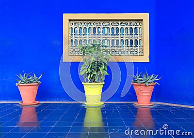 The Moroccan still life: two yellow flower pot of aloe on the background of blue wall with yellow window with bars Stock Photo