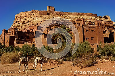 Morocco. Camels in front of the village of Ait Benhaddou Stock Photo