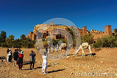 Morocco. A group of tourists take pictures of camels in front of the village of Ait Benhaddou Editorial Stock Photo