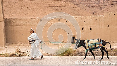 Moroccan woman leading her donkey, Morocco Editorial Stock Photo