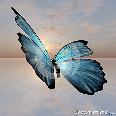 Morpho Butterfly Stock Photo