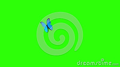 Morpho Menelaus Blue Butterfly Flying op een Groene Achtergrond mooie 3d animatie 4K Morpho Menelaus Blue Butterfly Flying op een Groene Achtergrond mooie 3d animatie 4K