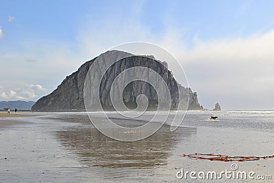 Morro Bay Rock Stock Photo