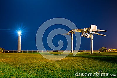 Morro Jable lighthouse and sperm whale statue Stock Photo
