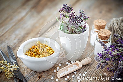 Mortar and bowl of dried healing herbs and bottles of homeopathic globules. Stock Photo