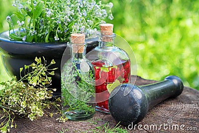 Mortar of healing herbs, herbal tincture, healthy infusion and medicinal plants. Stock Photo