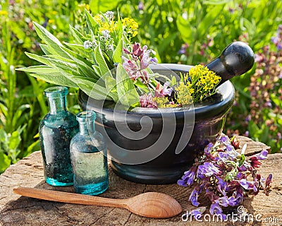 Mortar with healing herbs and sage Stock Photo