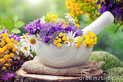 Mortar with healing herbs and wild flowers. Stock Photo