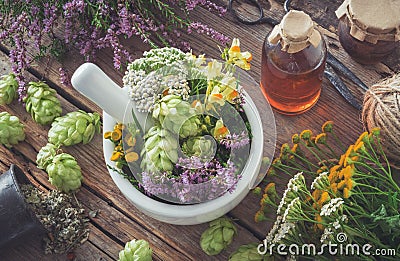 Mortar of medicinal herbs, healthy plants, bottle of tincture or infusion. Top view. Stock Photo