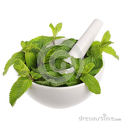 Mortar with mint Stock Photo