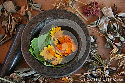 Mortar and Pestle, Herbalism, Naturopathy, Flowers Healing Herbs, Dried Flowers, Medicinal, Autumn, October, Still Life, Floral Stock Photo