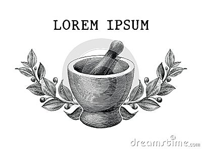 Mortar and pestle with herbs frame vintage engraving illustration logo isolated on white background,Logo of pharmacy and medicine Vector Illustration