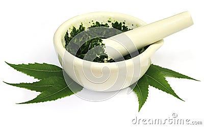 Mortar and pestle with medicinal neem leaves Stock Photo