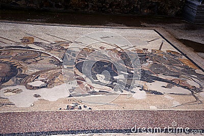 Mosaic in the Garden in the House of the Dancing Faun in the once buried Roman city of Pompeii south of Naples Editorial Stock Photo
