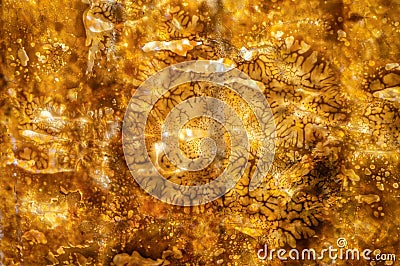 Mosaic of polished amber plates in contour sunlight as background, close up Stock Photo