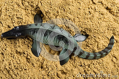 Mosasaurus on sand Stock Photo