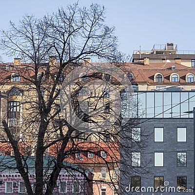 Moscow cityscape with renovated old buildings and bare tree in downtown in winter season Stock Photo