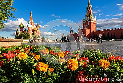 Moscow Kremlin and St Basil`s cathedral on Red Square, Russia. Scenery of central Moscow city, focus on flowers Stock Photo