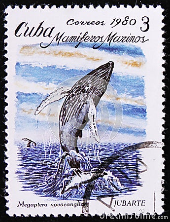 Megaptera novaeangliae, the series `Marine Mammals`, circa 1980 Editorial Stock Photo