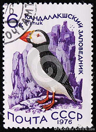 bird Atlantic Puffin - Fratercula arctica, circa 1976 Editorial Stock Photo
