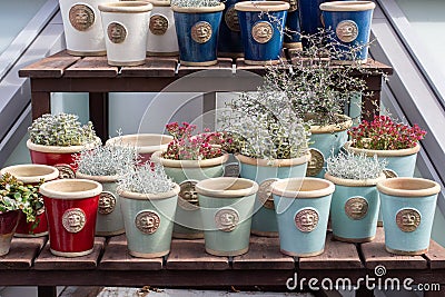 Moscow, Russia - August 18, 2019: Set of beautiful flower pots. Shop for home and garden, potted plant Calocephalus, Succulent, Editorial Stock Photo