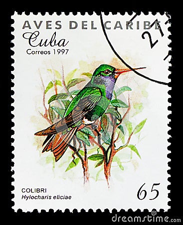 Blue-throated Goldentail (Hylocharis eliciae), Caribbean Birds serie, circa 1997 Editorial Stock Photo