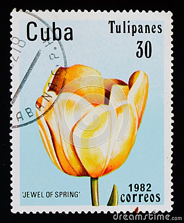 Tulip `Jewel of Spring`, Tulips serie, circa 1982 Editorial Stock Photo