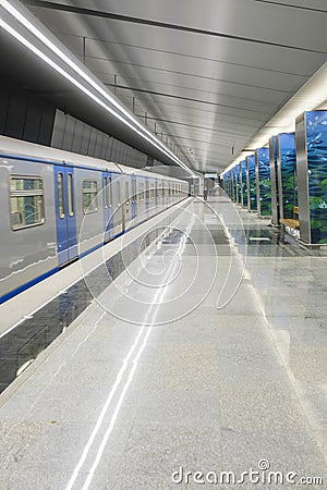 Subway train on the station Ozernaya in Moscow Editorial Stock Photo