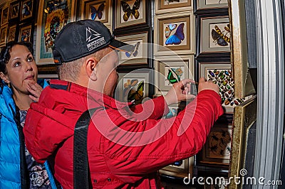 Moscow, Russia - February 25, 2017: A couple of visitors are examining a stand with dried butterflies and beetles Editorial Stock Photo